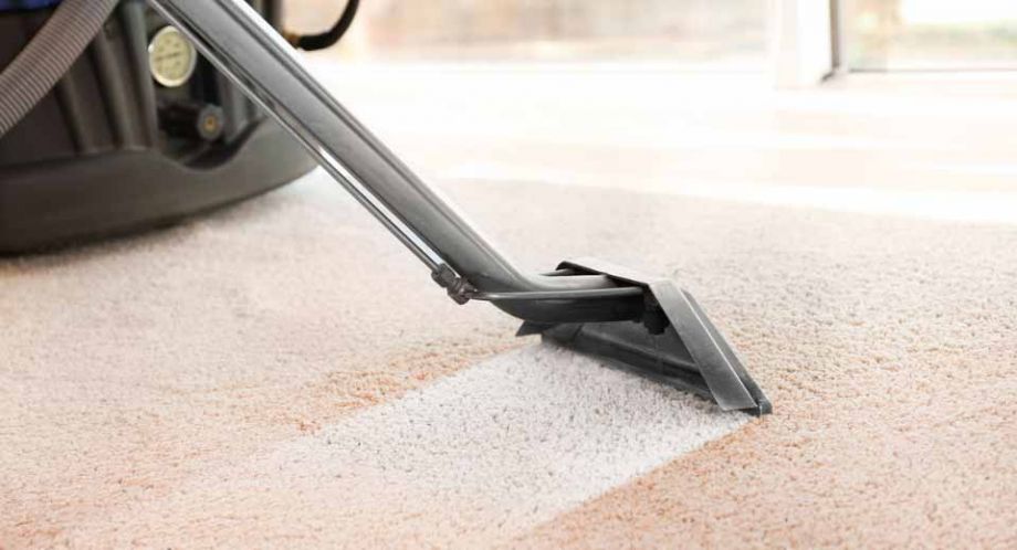 Pet Urine Treatment Carpet Placer County for Odor-Free Living